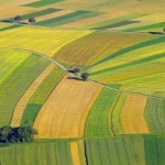 Аграріїв запрошують до участі в земельних торгах