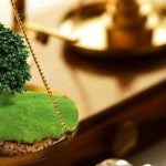 11 травня відбудеться земельний аукціон з продажу ...