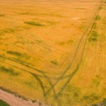 Верховна Рада ухвалила законопроєкт щодо спрощення...