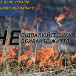 ДСНС інформує: за минулу добу в області вогонь зни...