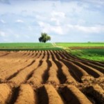 За результатами земельних аукціонів вартість оренд...
