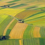 Аграріїв запрошують до участі в земельних торгах