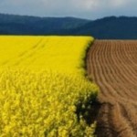 Аграріїв запрошують для участі у земельному аукціо...
