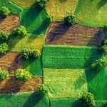 Завтра набуває чинності закон, який остаточно пове...