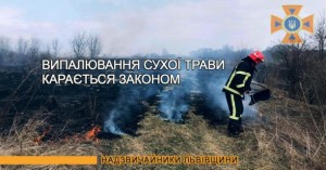 Випалювання трави