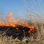 Львівська райдержадміністрація закликає не підпалю...