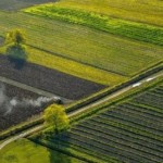 15 червня відбудеться земельний аукціон