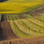17 червня - аукціон з продажу прав оренди земельни...