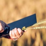 Уряд підтримав порядок ведення та адміністрування ...