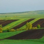 22 червня аграріїв запрошують на земельний аукціон