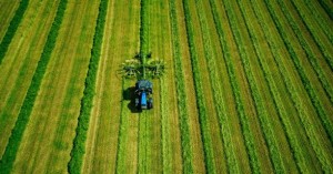 _1623412270_612x321_3_0_nw