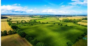 _1623670765_613x321_3_0_nw