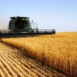 До уваги аграріїв: 2 липня відбудеться аукціон з п...