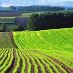 До уваги аграріїв: 5 липня відбудеться земельний а...