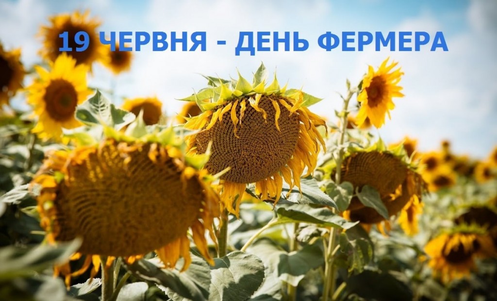 202837582_133500988872882_8711507913377342996_n