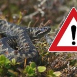 Відділ з питань оборонної роботи та цивільного зах...