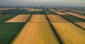 _1625579327_613x321_3_0_nw