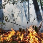 До уваги мешканців: на Львівщині висока пожежна не...