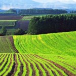 До уваги аграріїв: 23 липня відбудеться земельний ...