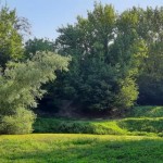 Площу Снопківського парку збільшили на 11 га – ріш...
