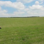 Видатний узбецький фотограф Ернест Куртвелієв готу...