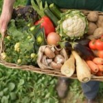 Стартувала нова програма «Органічна торгівля зарад...