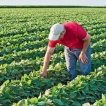 Законопроєкт про зміни до закону про органічну про...