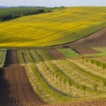 До уваги аграріїв: 27 липня відбудеться земельний ...