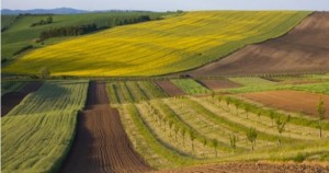 _1626693580_613x322_3_0_nw