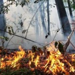 Жителів Львівщини попереджають про надзвичайний ри...