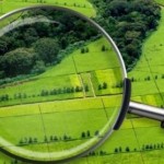 6 серпня відбудеться земельний аукціон з продажу п...