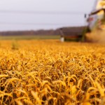 Роз'яснення щодо можливості пільгового викупу ферм...