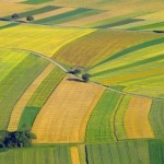 Аграріїв запрошують взяти участь у земельних аукці...