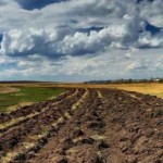 Ринок землі: від початку липня на Львівщині зареєс...