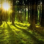 Оголошено конкурс про призначення на керівні посад...