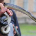 З початку року 34 людини на Львівщині постраждали ...