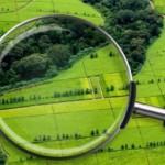До Держземкадастру внесли відомості про нормативну...