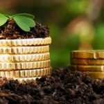 Аграріїв запрошують взяти участь у земельному аукц...