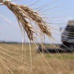 Аграріям Львівщини відшкодували з державного бюдже...