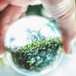 Триває громадське обговорення проєкту «Методичних ...