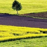 Аграріїв Львівщини запрошують 10 вересня взяти уча...