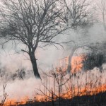 9-11 вересня в області очікується стан високої пож...