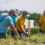 Користувачів земельних ділянок біля Північної об’ї...