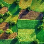 Аграріїв Львівщини запрошують 23 вересня взяти уча...