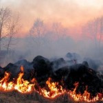 Екологи попереджають: 16 вересня в області місцями...