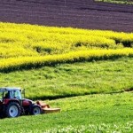 До уваги аграріїв: запрошуємо взяти участь в земел...