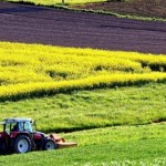 До уваги аграріїв: запрошуємо взяти участь в земел...