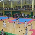 Змагання з таеквондо зібрали у Львові майже тисячу...