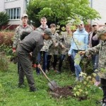 Зелена країна: майже 200 тис дерев висадили на Льв...