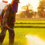 Використану тару з-під пестицидів і агрохімікатів ...